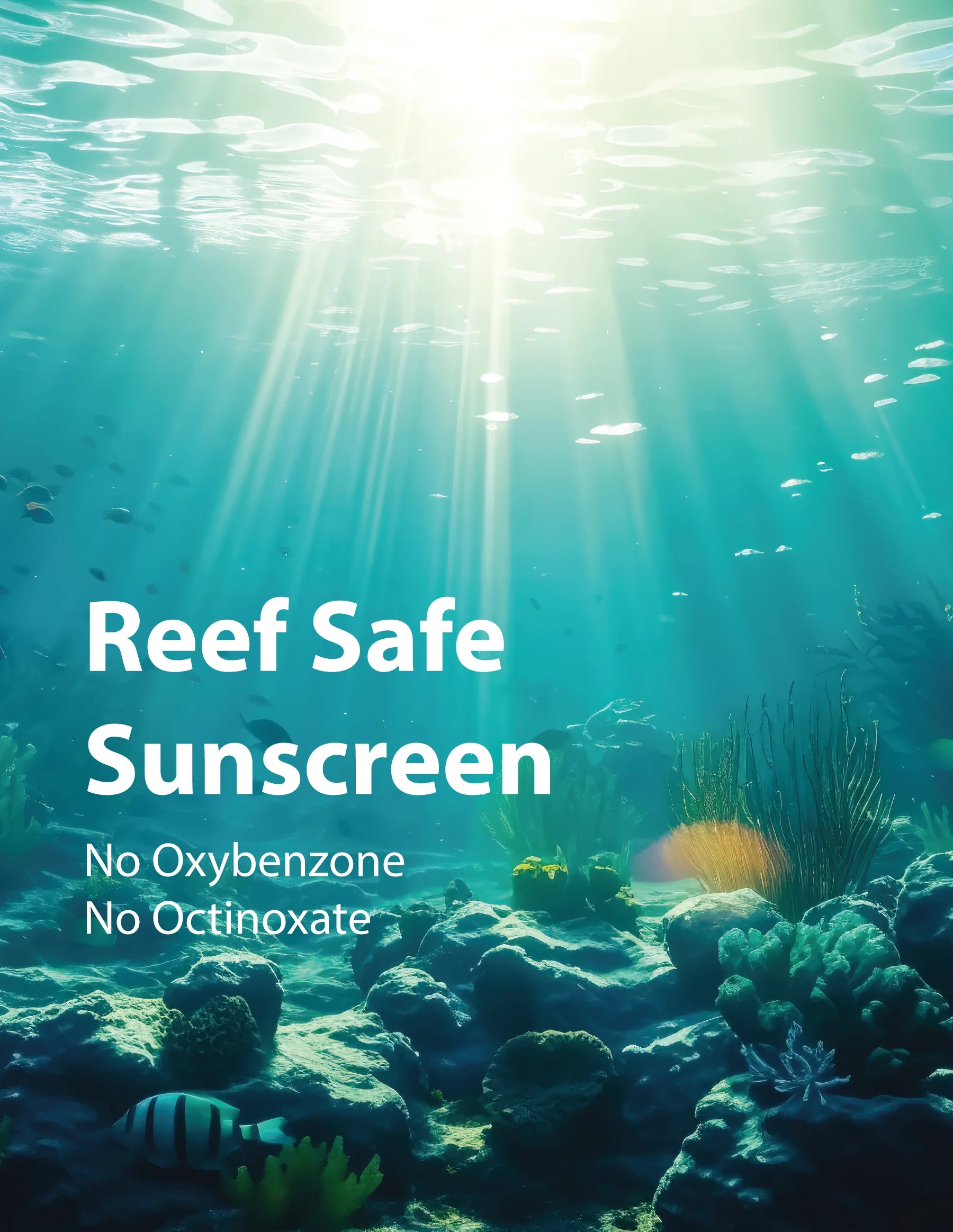 SPF50+ Enlighter Protector Tone Up Sun Cream | 50 ml.